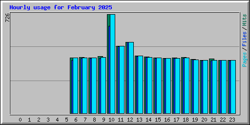 Hourly usage for February 2025
