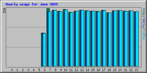 Hourly usage for June 2025