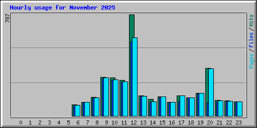 Hourly usage for November 2025